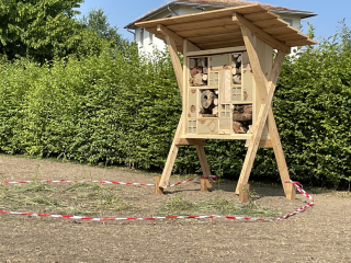 Projektwoche Natur pur