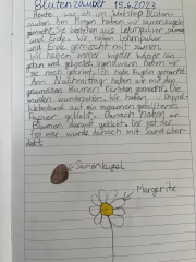 Natur pur, Kinder Feedbacks