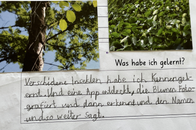 Natur pur, Kinder Feedbacks